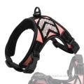 Eco-friendly high quality reflective canvas dog harness